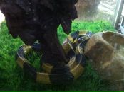 Иван Абраменко фотография #27 (источник - https://vk.com/id3145047)