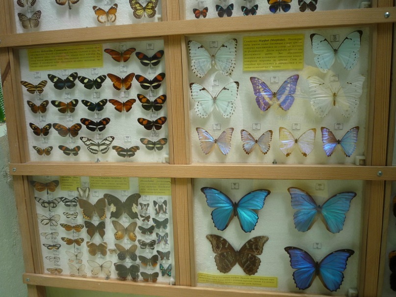 Катерина Латнер фотография #13