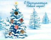 Фотография Скворцовой Татьяны