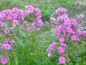 Фотография Шараповой Марины