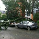 Фотография Сергеевича Артёма