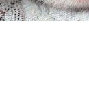 Вітя Лайщук фотография #19 (источник - https://vk.com/id134923699)