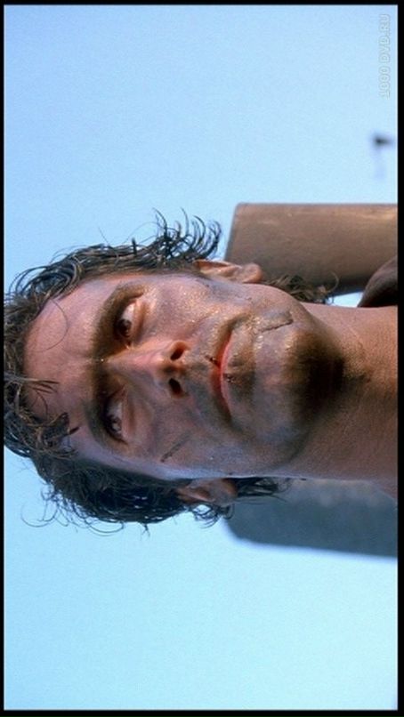 Элю Шэ фотография #18