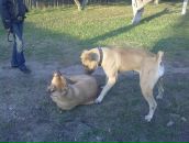 Антон Беляєв фотография #43 (источник - https://vk.com/id7465258)