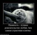 Євген Кушнір фотография #49 (источник - https://vk.com/id104483766)