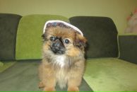 Віталій Сокул фотография #37 (источник - https://vk.com/id154698175)