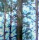 Андрій Підвисоцький фотография #28 (источник - https://vk.com/id30699954)