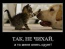 Таня Кшемінська фотография #6 (источник - https://vk.com/id51395861)