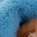 Віталій Лучинський фотография #10 (источник - https://vk.com/id153464348)