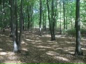 Віталій Панасюк фотография #41 (источник - https://vk.com/id67183575)