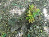 Віталій Панасюк фотография #46 (источник - https://vk.com/id67183575)