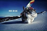 Фотография Мазова Дмитрия