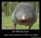 Сергій Борознюк фотография #45 (источник - https://vk.com/id107450236)