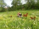 Діма Коцуровський фотография #35 (источник - https://vk.com/id40828096)