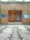 Олеся Фарфаліна фотография #14 (источник - https://vk.com/id33379811)