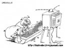 Андрей Вольфвуд фотография #44 (источник - https://vk.com/id15115109)