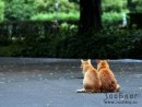 Олексій Колотило фотография #17 (источник - https://vk.com/id11816741)