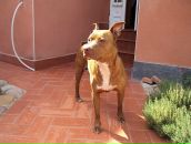 Ігор Капанюк фотография #6 (источник - https://vk.com/id70134363)