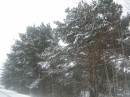 Дмитрий Шаров фотография #34 (источник - https://vk.com/id3186760)