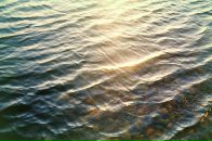 Фотография Белинской Саши