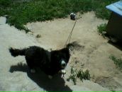 Tamara Kolesnikova фотография #3 (источник - https://vk.com/id160926278)