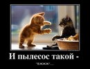 Олександир Дільний фотография #22 (источник - https://vk.com/id159479010)
