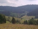 Сергій Сенів фотография #13 (источник - https://vk.com/id152212532)