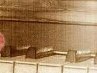 Марьянка Анатійчук фотография #8 (источник - https://vk.com/id132112920)