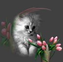 Софійка Киця фотография #35 (источник - https://vk.com/id161506940)