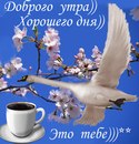 Данієла Брус фотография #32 (источник - https://vk.com/id158430757)
