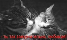 Юлія Пожидаєва фотография #27 (источник - https://vk.com/id20098980)