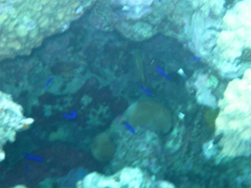 Борис Кишкилев фото №25