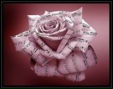 Фотография Хоперской Ольги