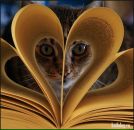 Леся Біла фотография #48 (источник - https://vk.com/id133066240)