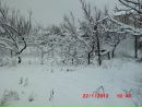 Патрік Гранілло фотография #11 (источник - https://vk.com/id155066041)