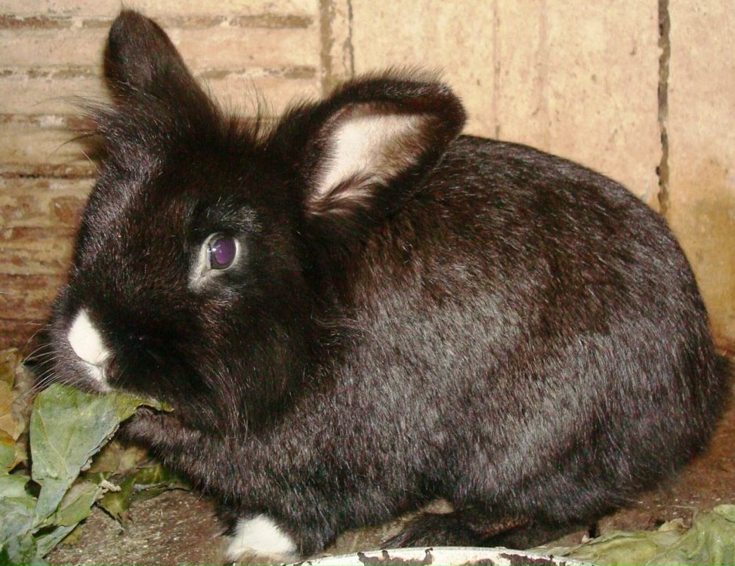 Алина Стом фотография #18