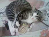 Фотография Павловой Ольги