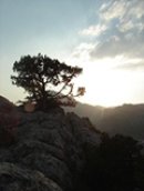 Deleted Deleted фотография #17 (источник - https://vk.com/id864728)