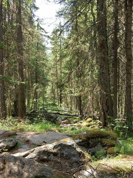 Михаил Яковлев фото №49