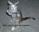 Фотография Драгунова Ивана