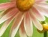 Євген Кобильник фотография #33 (источник - https://vk.com/id59704521)