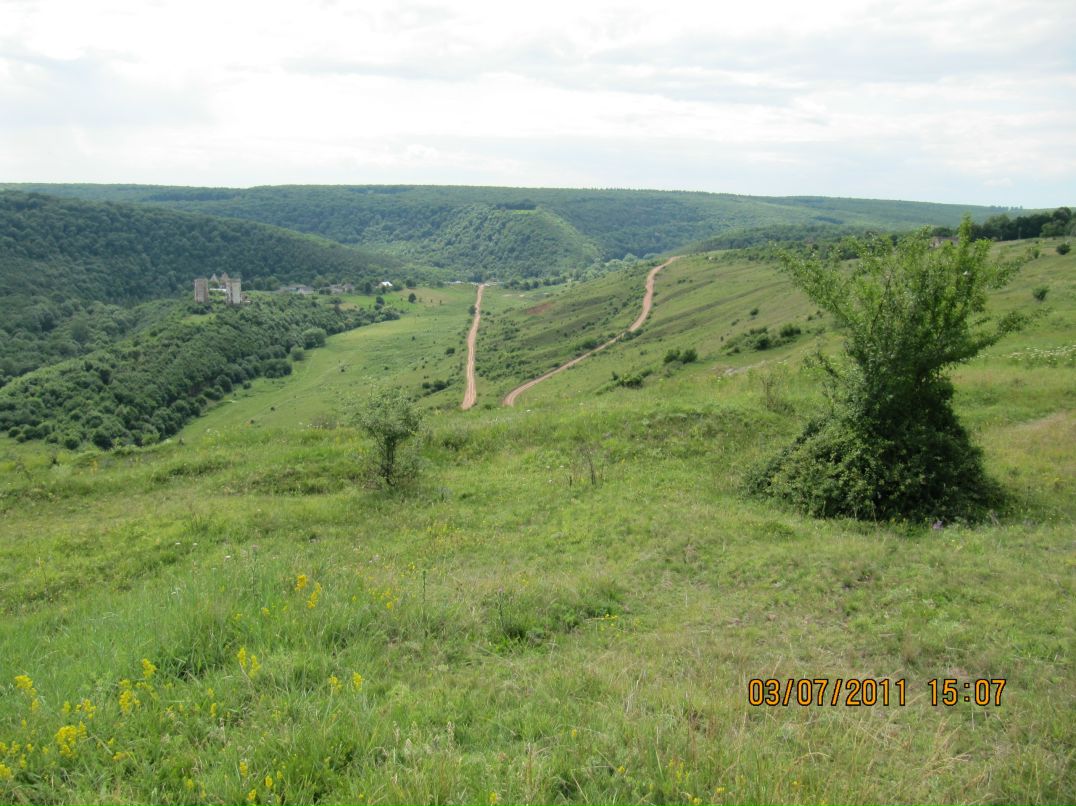 Роман Титенко фотография #34