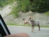 Игорь Бойко фотография #42 (источник - https://vk.com/id928577)