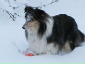 Фотография Тепановой Натальи