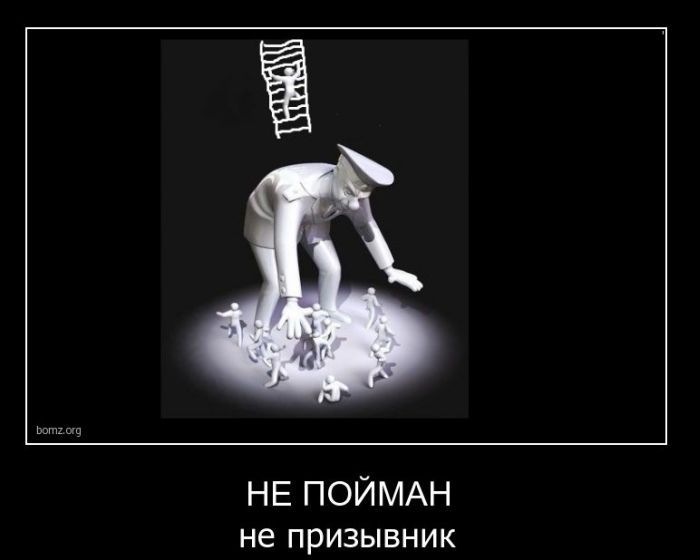 Дмитрий Мельников фотография #50