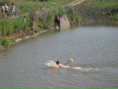 Римма Якубова фотография #17 (источник - https://vk.com/id47070243)