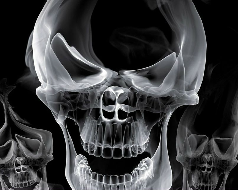 Дмитрий Волков фотография #13