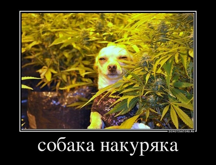 Владимир Васенев фотография #14