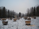 Айдар Мустаев фотография #34 (источник - https://vk.com/id32154737)