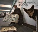 Ісконно Человек фотография #30 (источник - https://vk.com/id29895387)